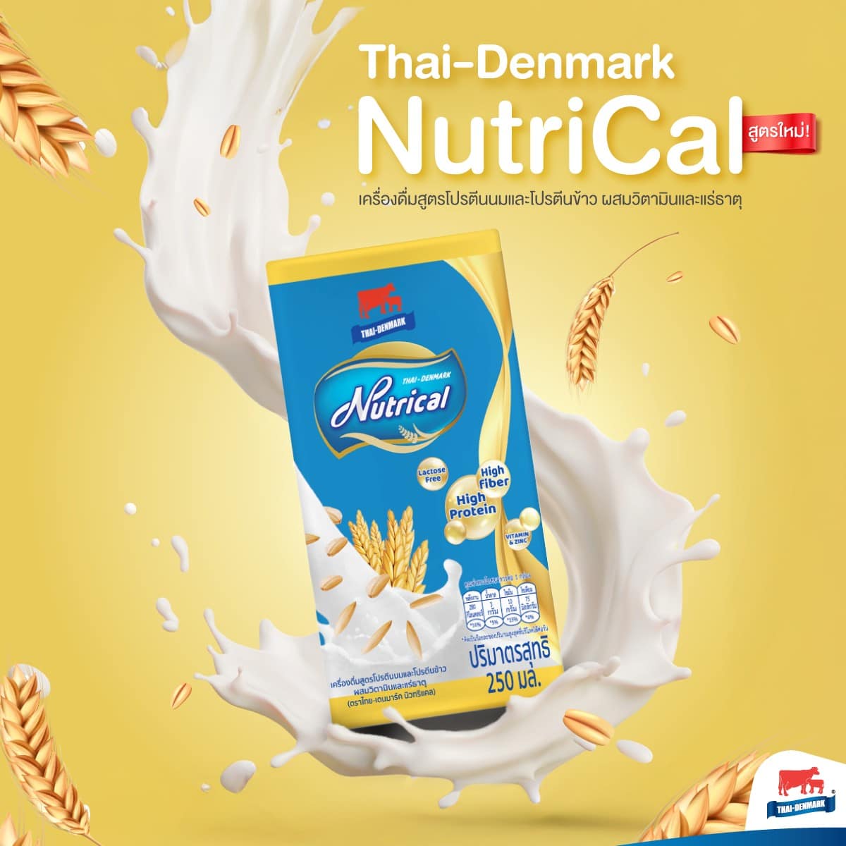 485656411 1039673718190701 7668947063486899666 n 485656411 1039673718190701 7668947063486899666 n